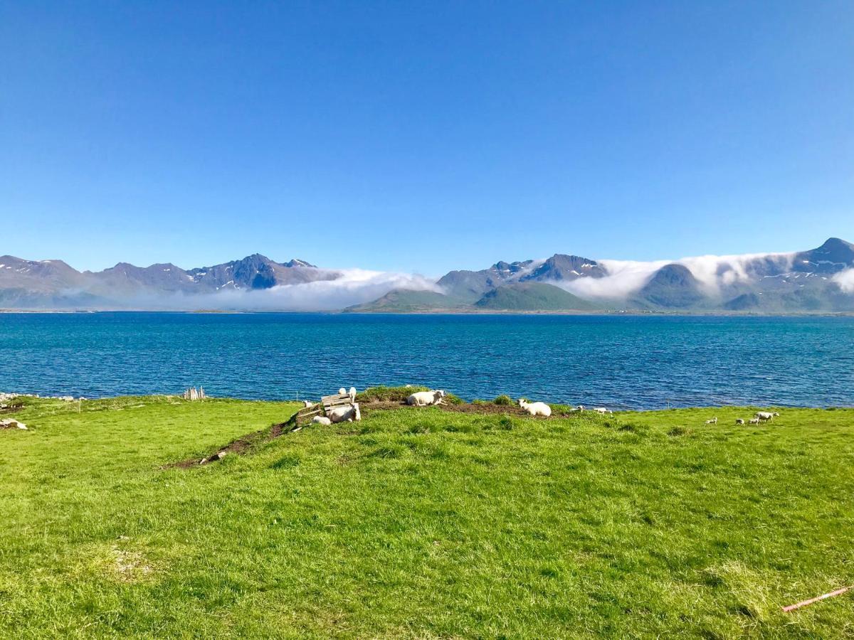 Eggum Rorbuer Villa Bostad Eksteriør bilde